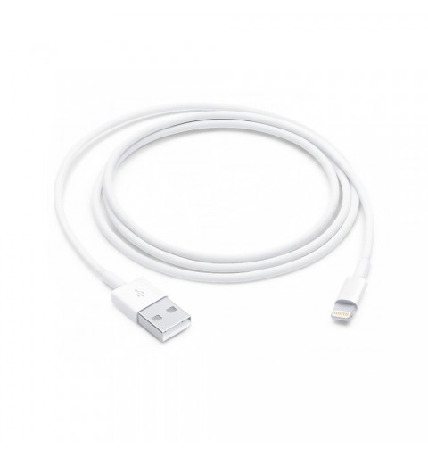 Apple Câble Lightning vers USB (1 m)