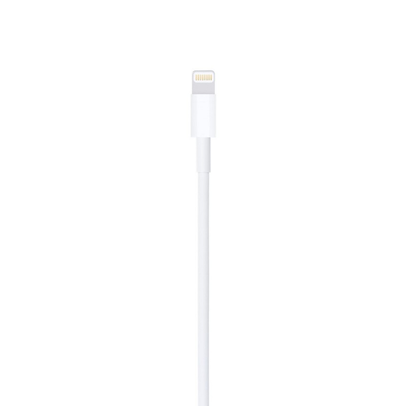 Apple Lightning auf USB Kabel (1 m)