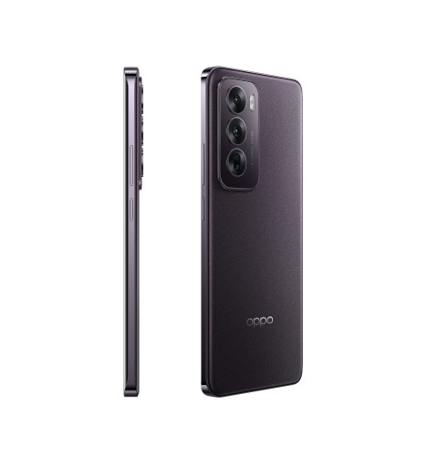 OPPO Reno12 5G 17 cm (6.7") Double SIM Android 14 USB Type-C 12 Go 256 Go 5000 mAh Noir