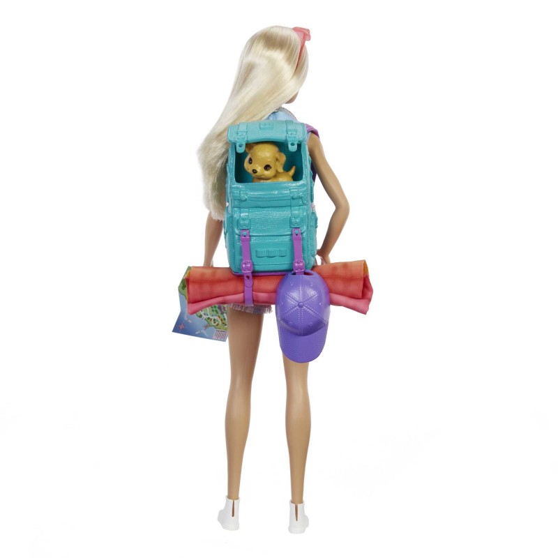 Barbie Dreamhouse Adventures Doll and Accessories