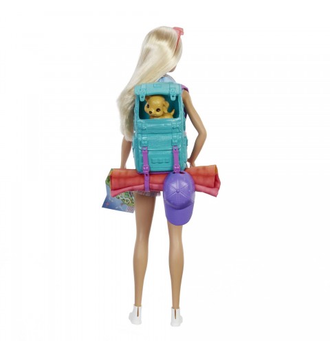 Barbie Dreamhouse Adventures Doll and Accessories