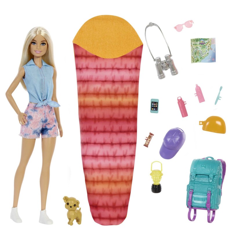 Barbie Dreamhouse Adventures Doll and Accessories