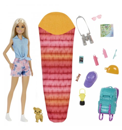 Barbie Dreamhouse Adventures Doll and Accessories