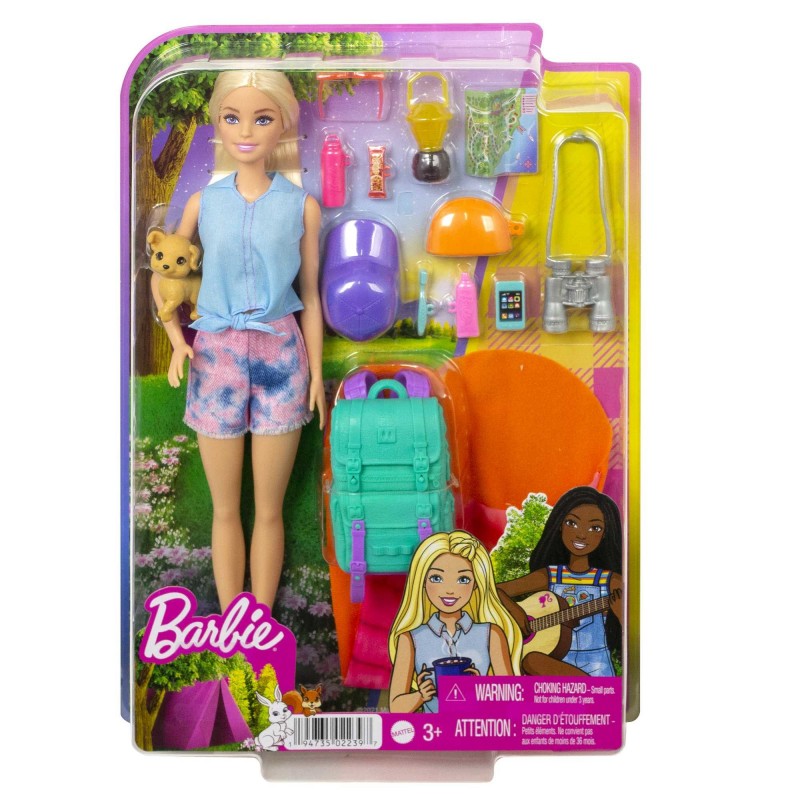 Barbie Dreamhouse Adventures Doll and Accessories