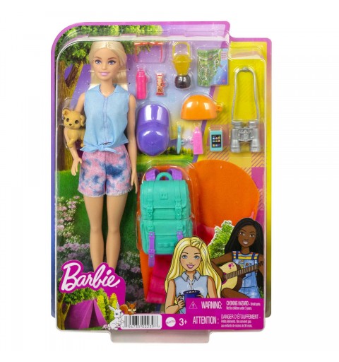 Barbie Dreamhouse Adventures Doll and Accessories