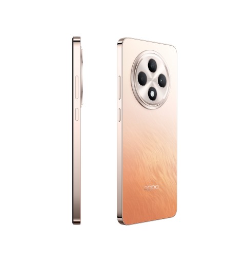 OPPO Reno12 FS 5G 16,9 cm (6.67") Double SIM Android 14 USB Type-C 12 Go 512 Go 5000 mAh Orange