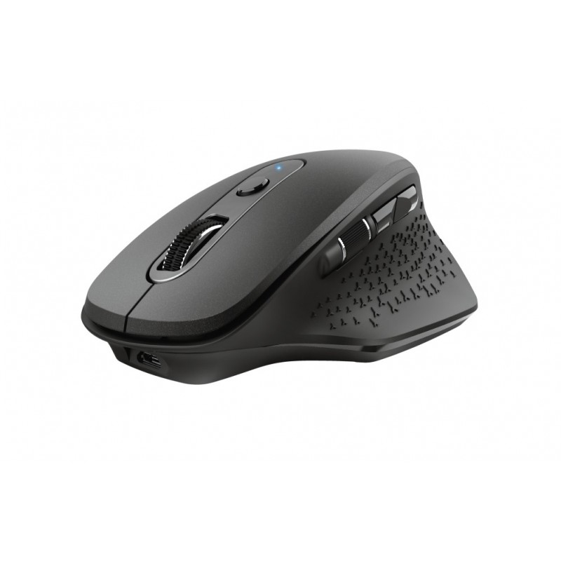 Trust Ozaa mouse Office Right-hand RF Wireless Optical 2400 DPI