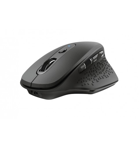 Trust Ozaa mouse Office Right-hand RF Wireless Optical 2400 DPI