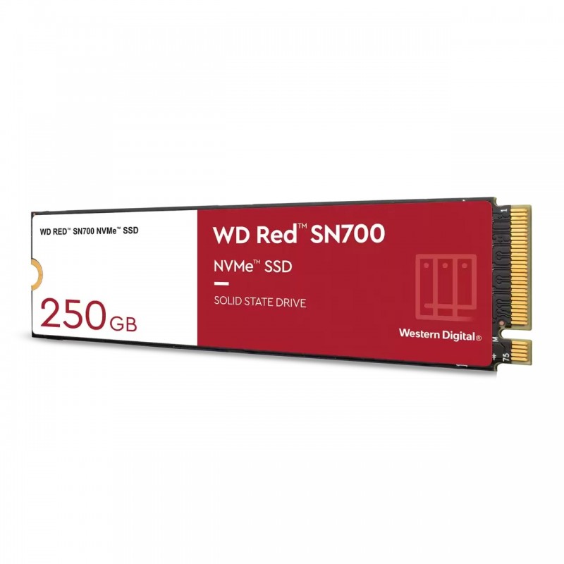 Western Digital WD Red SN700 250 Go M.2 PCI Express 3.0 NVMe