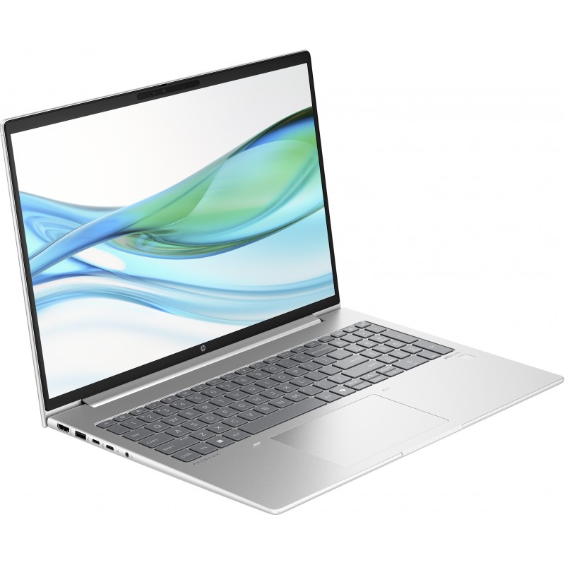 HP ProBook 465 G11 AMD Ryzen™ 5 7535U Laptop 40.6 cm (16") WUXGA 8 GB DDR5-SDRAM 512 GB SSD Wi-Fi 6E (802.11ax) Windows 11 Pro