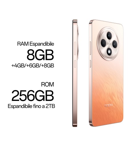 OPPO Reno12 F 4G 16,9 cm (6.67") Double SIM Android 14 USB Type-C 8 Go 256 Go 5000 mAh Orange