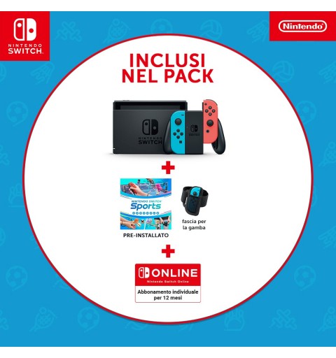 Nintendo NIN10014486 videoconsola portátil Multicolor