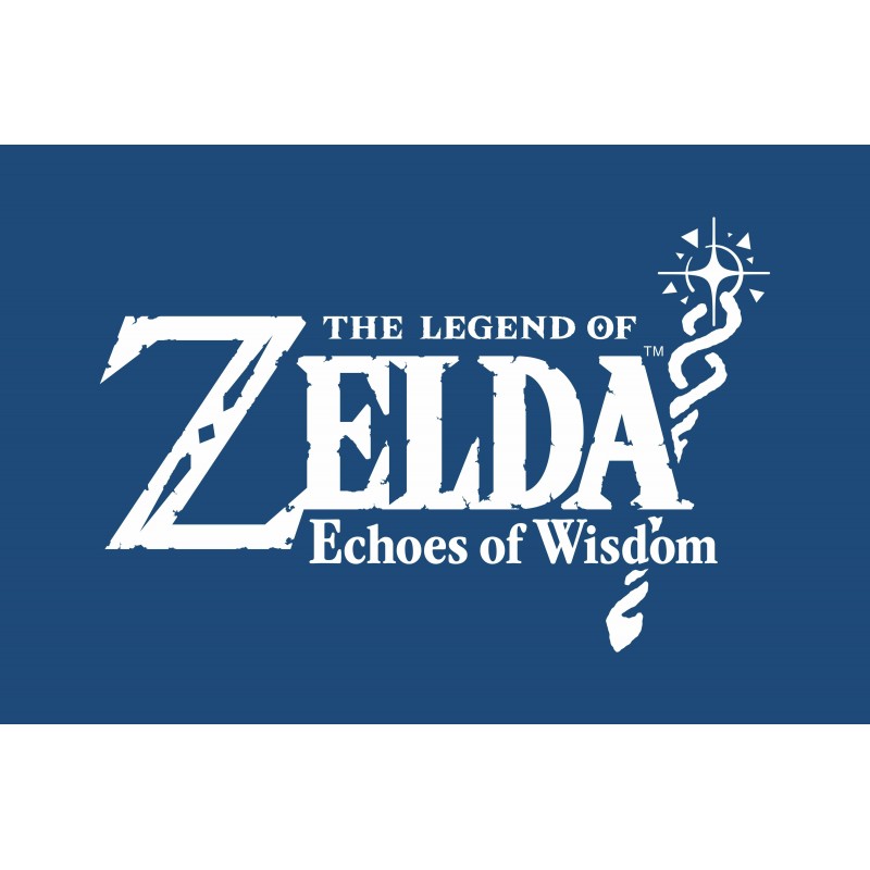 Nintendo The Legend of Zelda Echoes of Wisdom