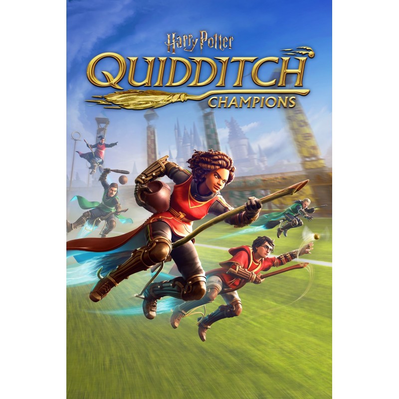 Warner Bros Harry Potter Campioni di Quidditch (NS)