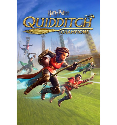 Warner Bros Harry Potter Campioni di Quidditch (NS)