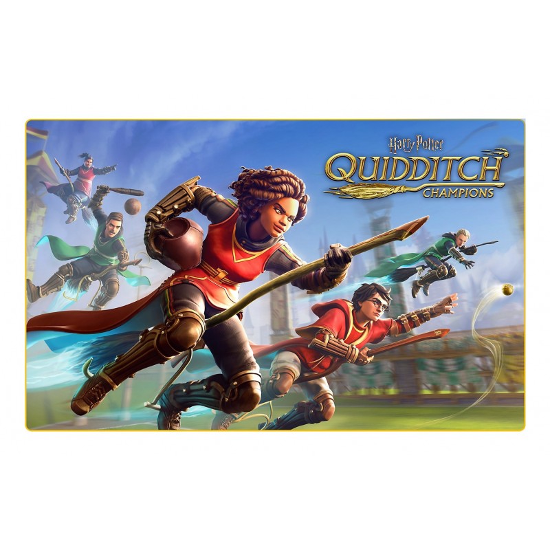 Warner Bros Harry Potter Campioni di Quidditch (PS5)