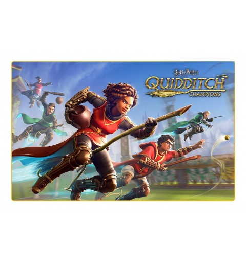 Warner Bros Harry Potter Campioni di Quidditch (PS5)