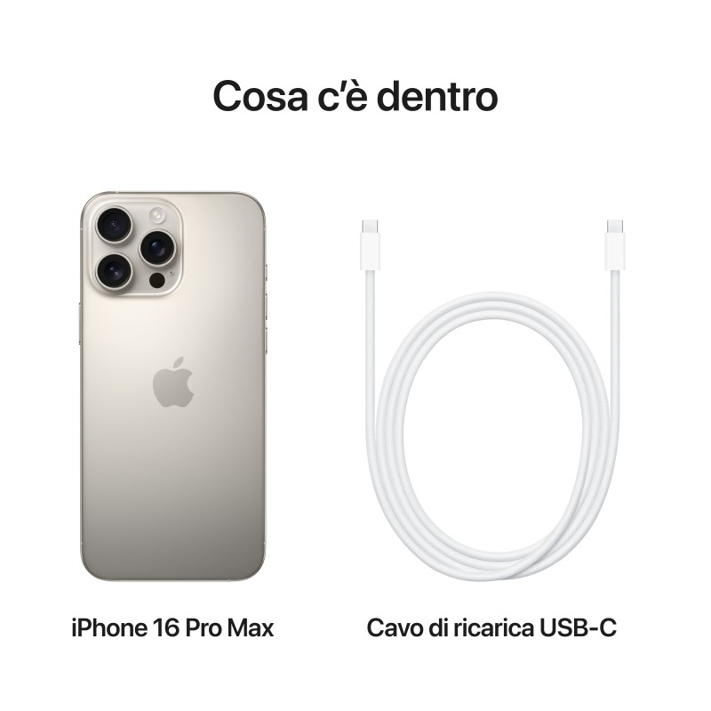 Apple iPhone 16 Pro Max 17,5 cm (6.9") Double SIM iOS 18 5G USB Type-C 256 Go Titane