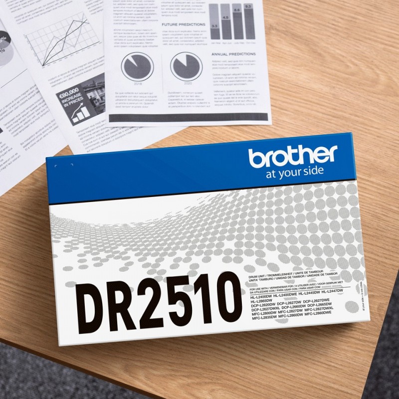 Brother DR-2510 Original 1 pc(s)